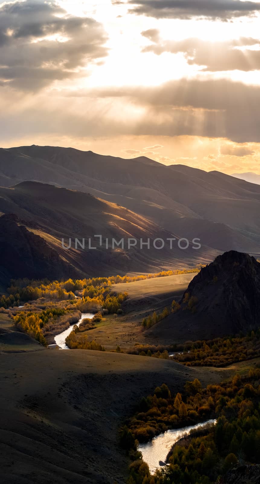 Panorama is the Altai, a mountain river flowing between the Altai mountains and the nature of the area.