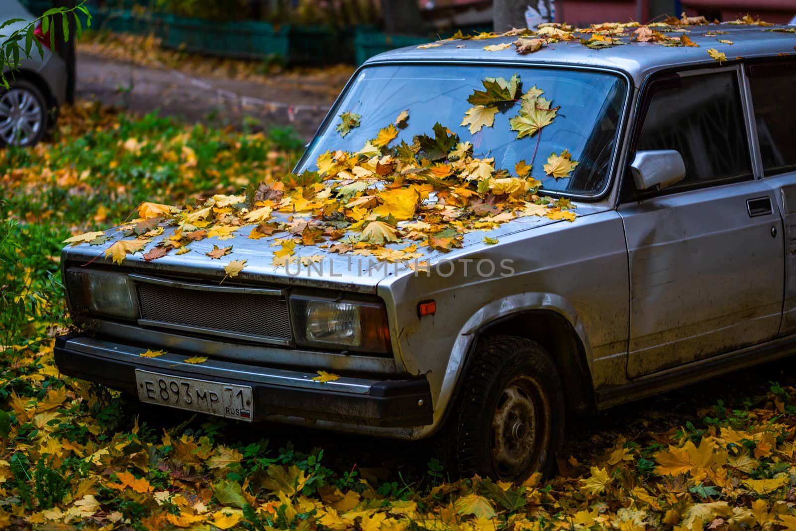 TULA, RUSSIA - OCTOBER 5, 2019: a lot of fallen maple leaves on old russian car bonnet.