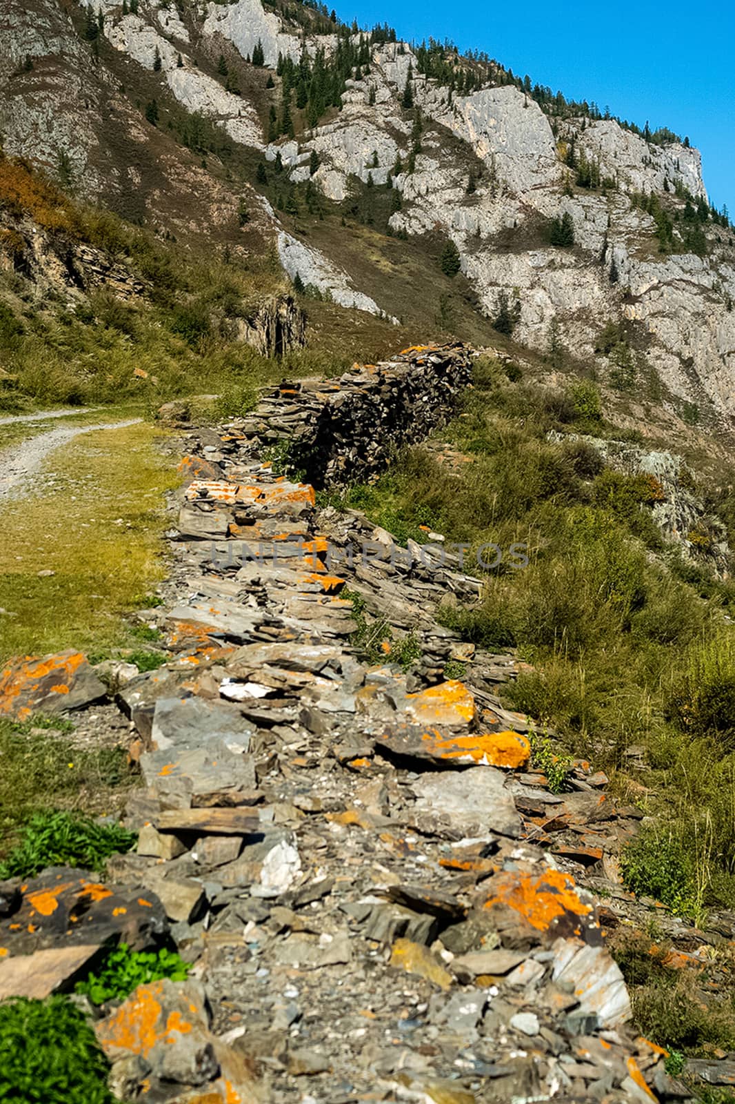 A path made of stones, mountain path in the Altai. by DePo