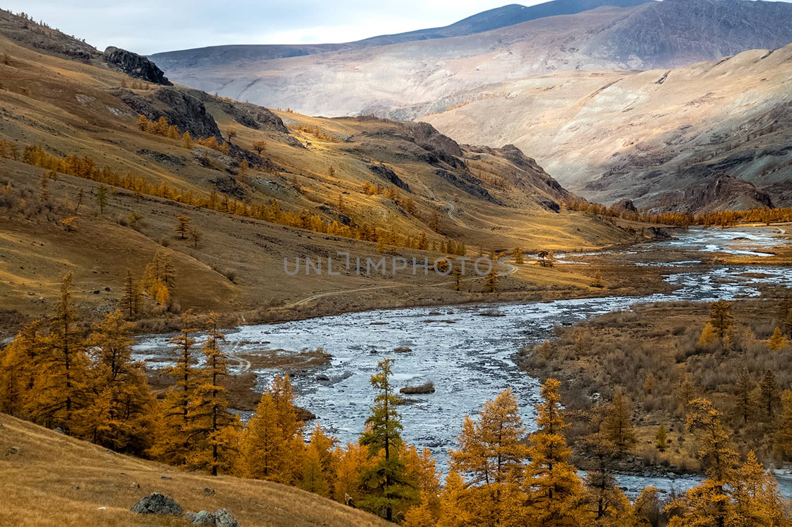 The mountain river flows over the rocks. The rivers are altai. Nature is altai.