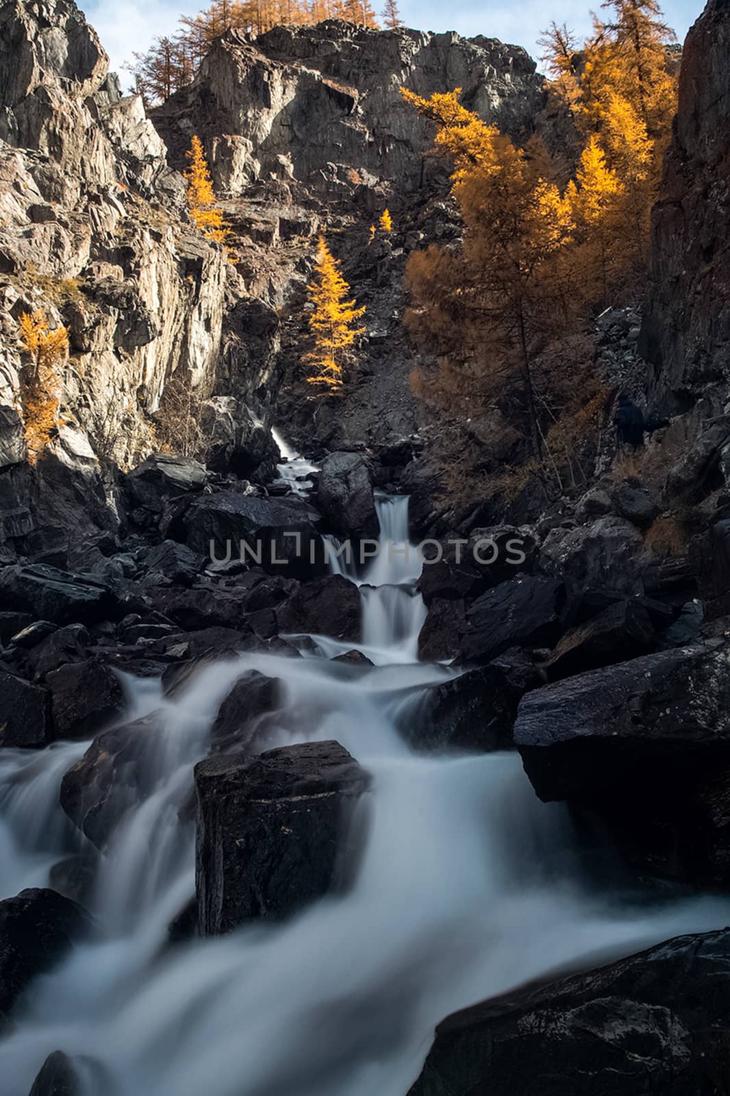 mountain river flows over the rocks. The rivers are altai. Nature is altai. by DePo