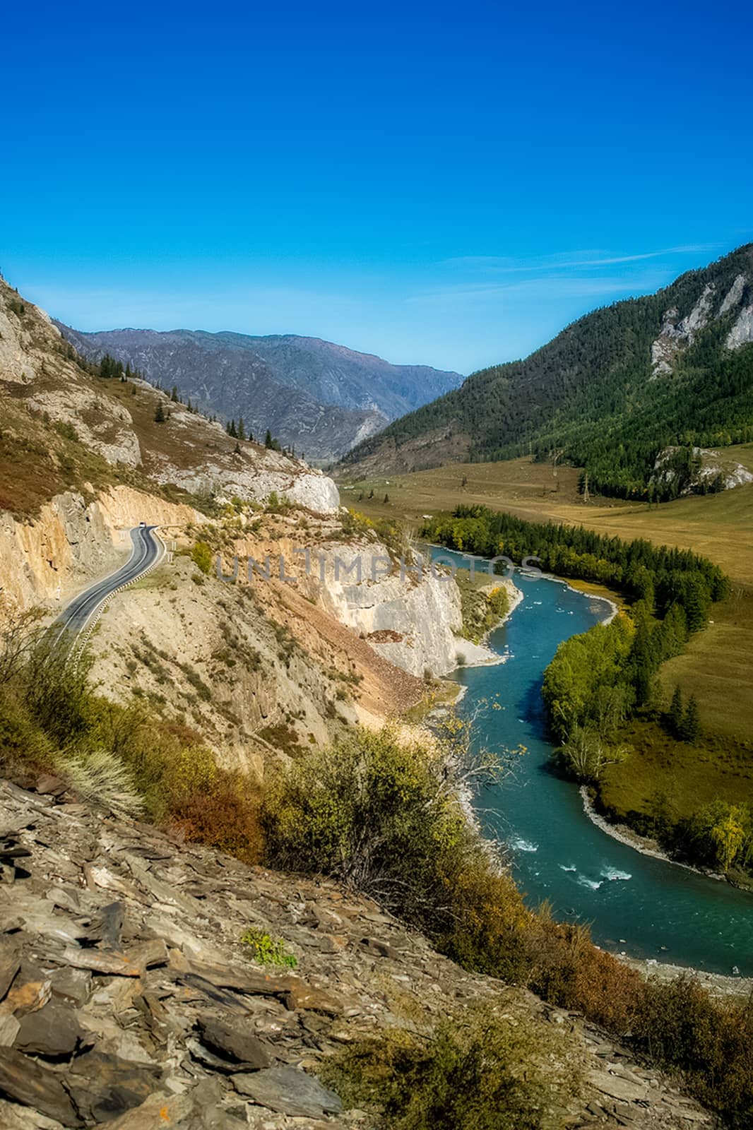 mountain river flows over the rocks. The rivers are altai. Nature is altai. by DePo