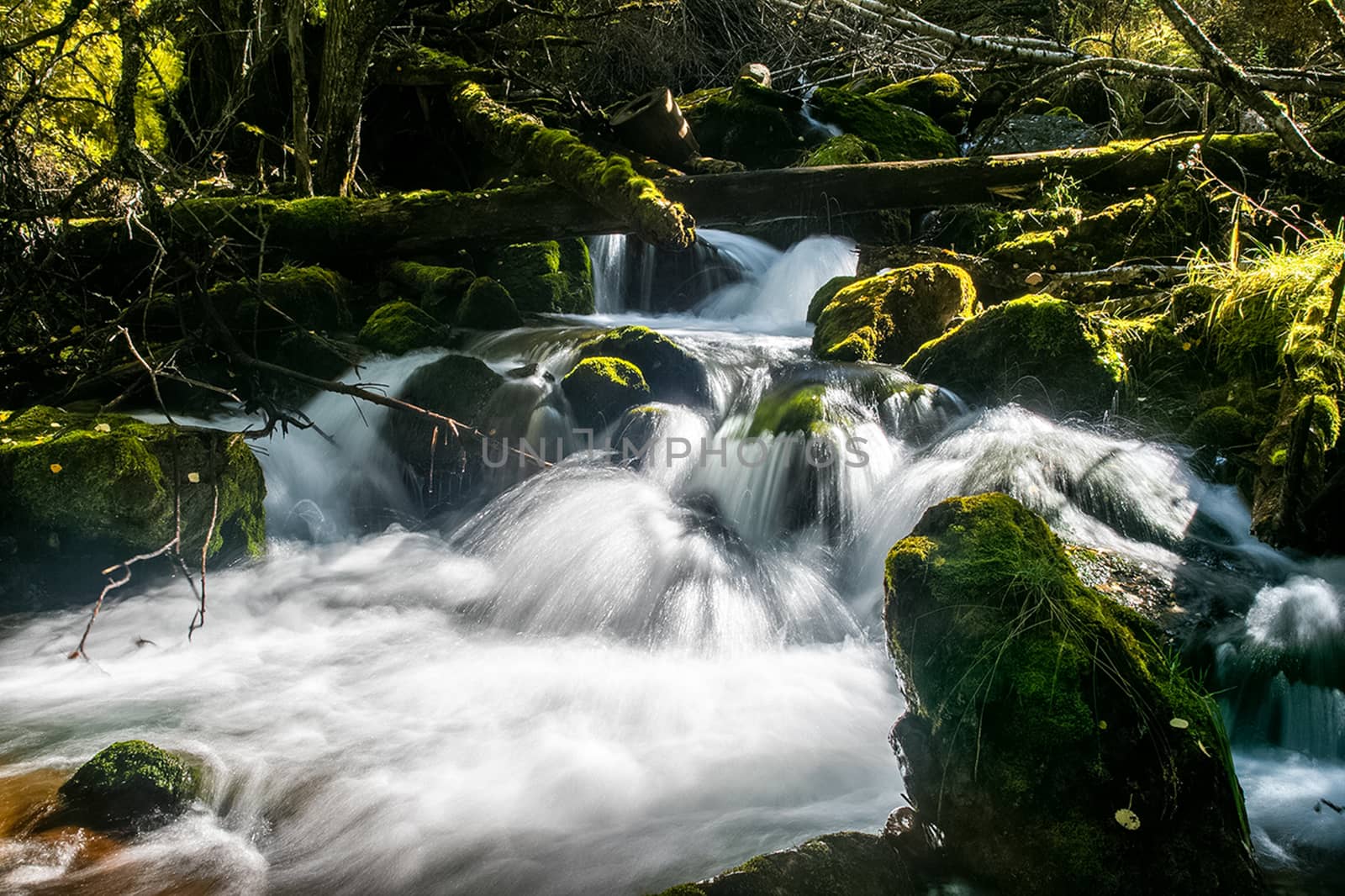 The mountain river flows over the rocks. The rivers are altai. Nature is altai.