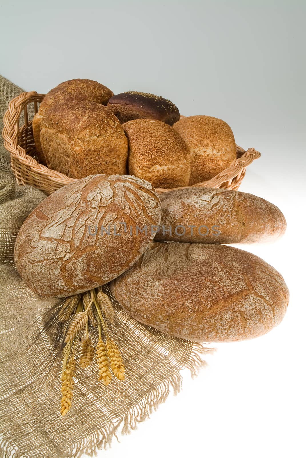 Different kinds of bread on a studio background