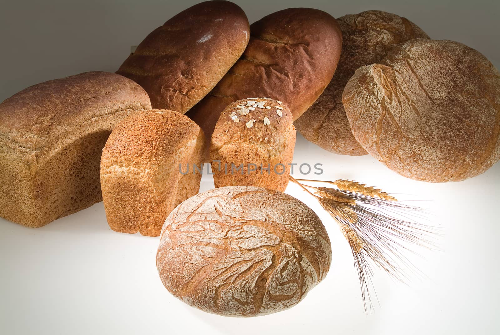Different kinds of bread on a studio background