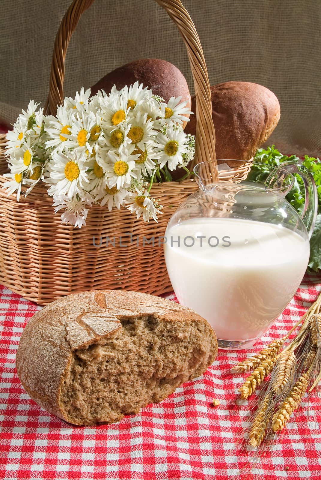 Different kinds of bread on a studio background