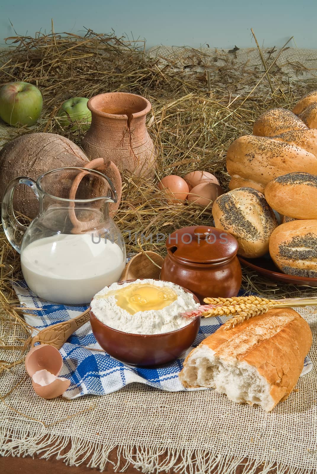 Different kinds of bread on a studio background