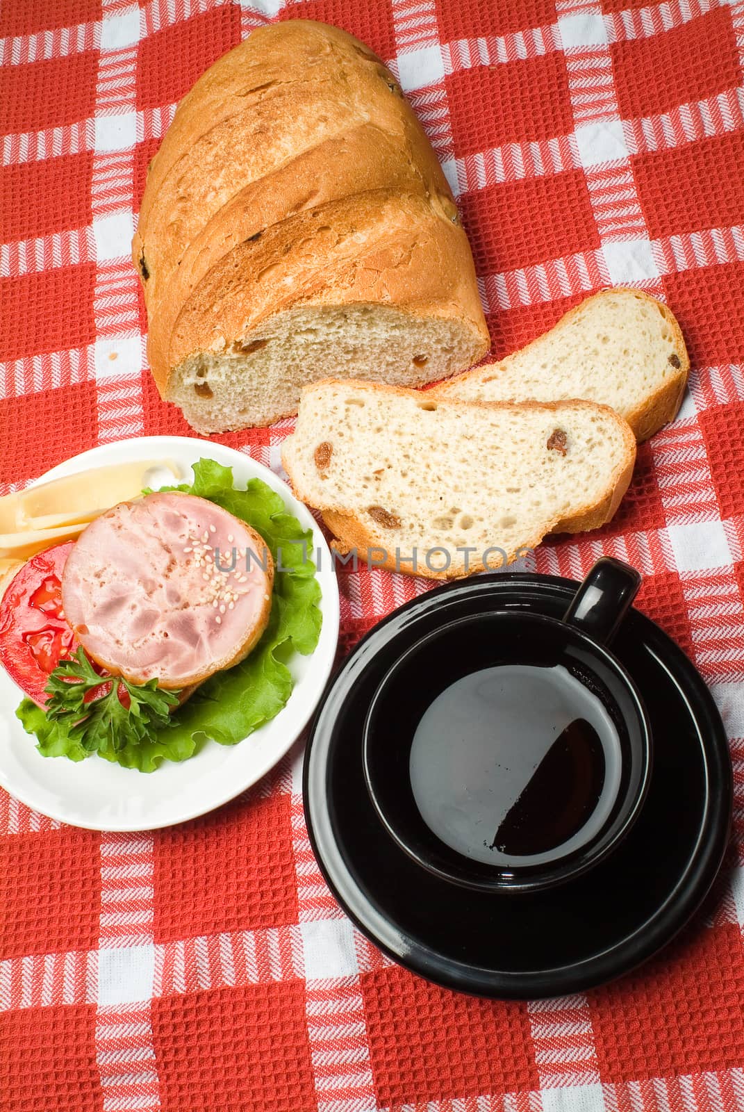 Different kinds of bread on a studio background