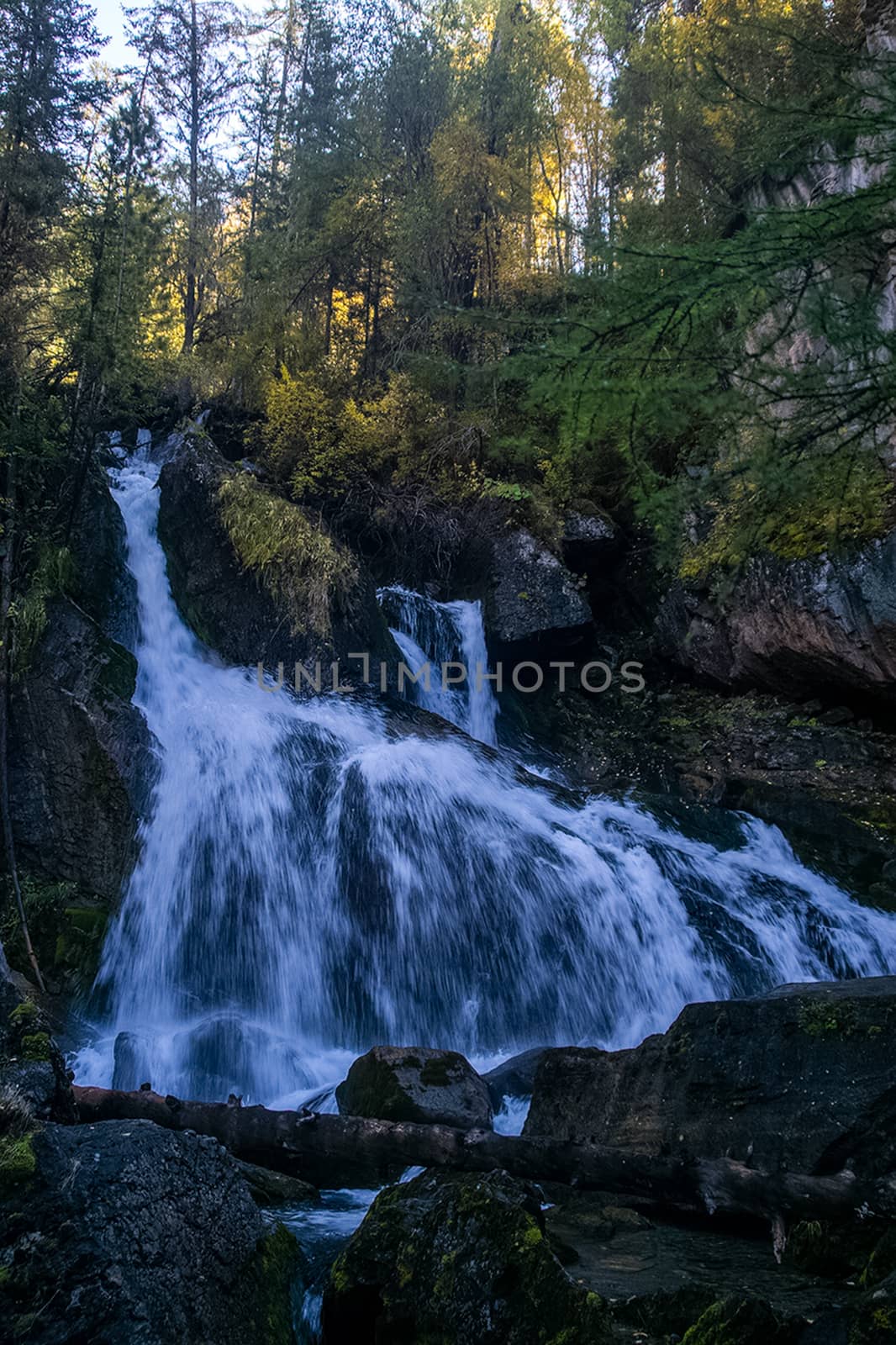 A small waterfall on a mountain river in the Altai. The Altai Mountain Rivers.