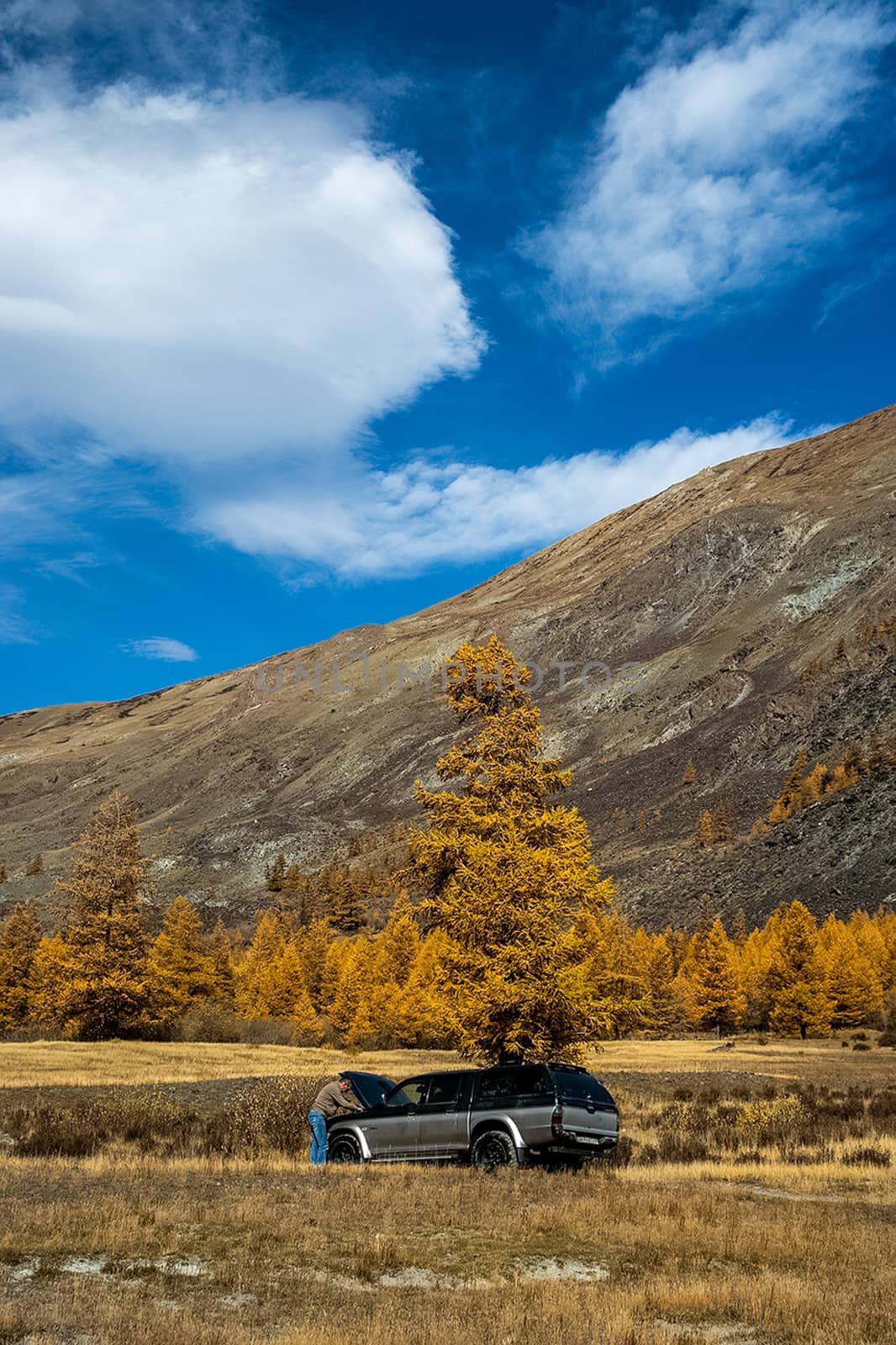 SUV under a tree in Altai Mountains. Travel by car. by DePo