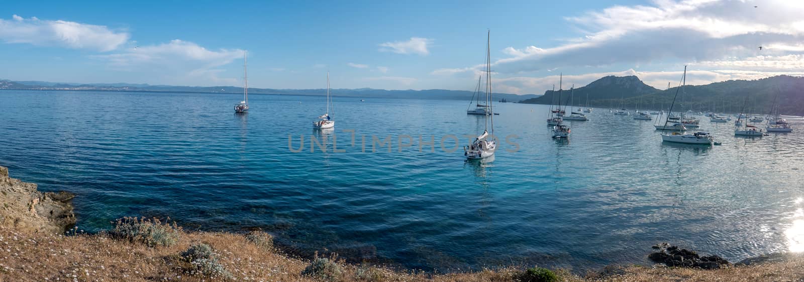 Discovery of the island of Porquerolles in summer. Deserted beaches and pine trees in this landscape of the French Riviera, Var.