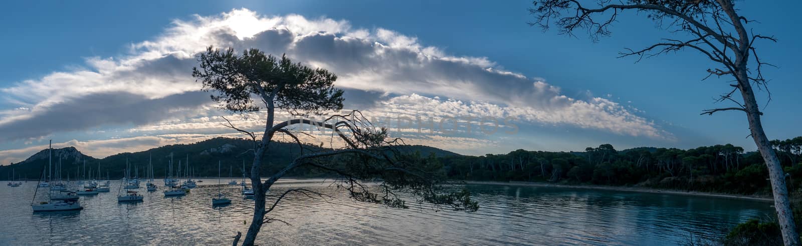 Discovery of the island of Porquerolles in summer. Deserted beaches and pine trees in this landscape of the French Riviera, Var.