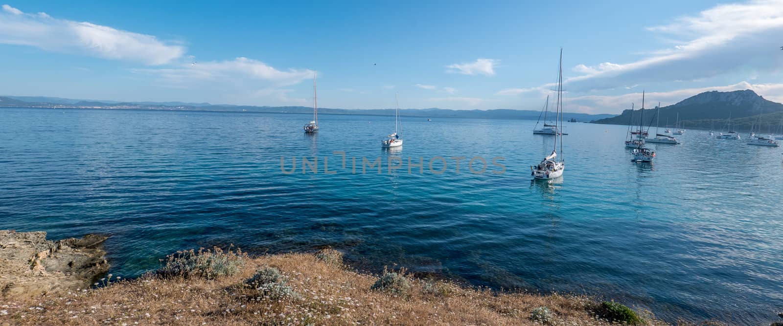 Discovery of the island of Porquerolles in summer. Deserted beaches and pine trees in this landscape of the French Riviera, Var.