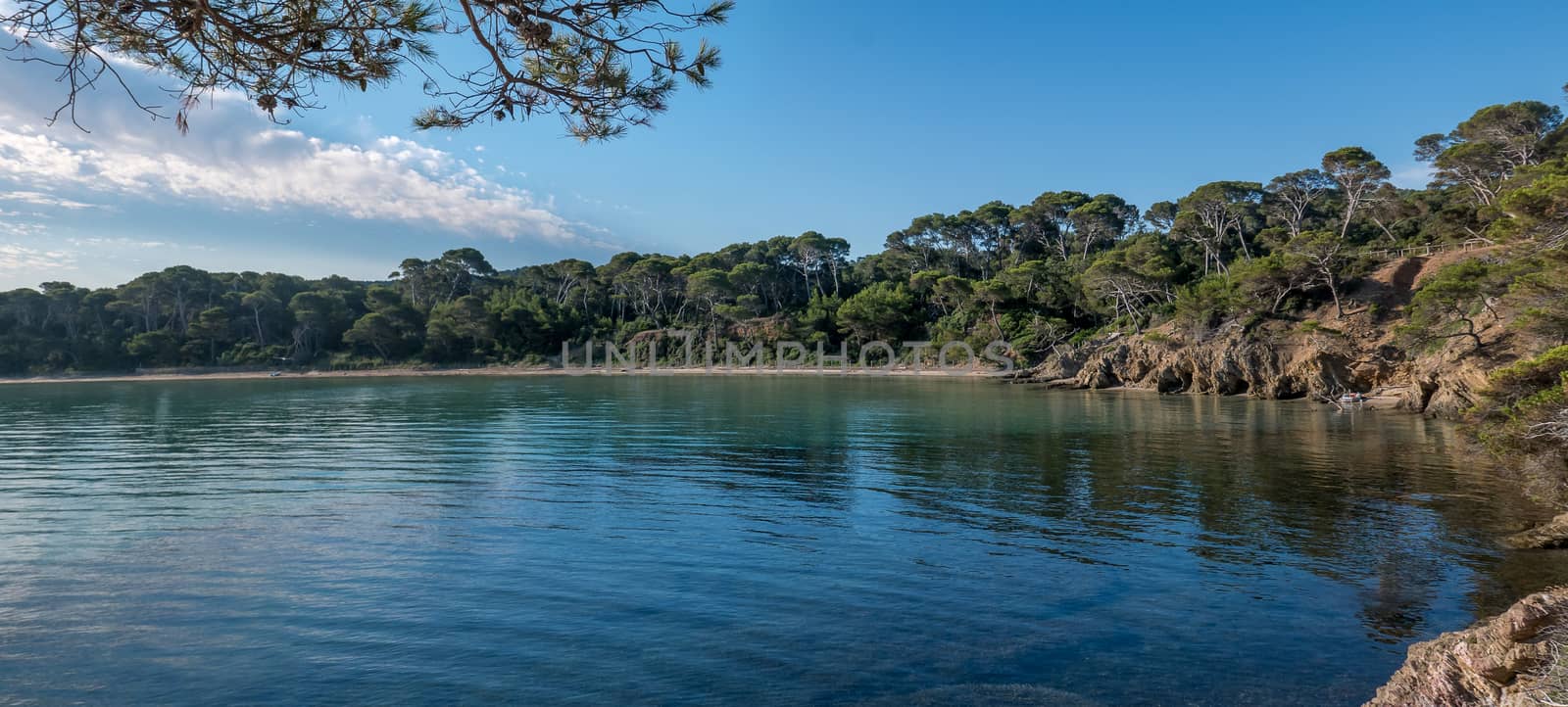 Discovery of the island of Porquerolles in summer. Deserted beaches and pine trees in this landscape of the French Riviera, Var.