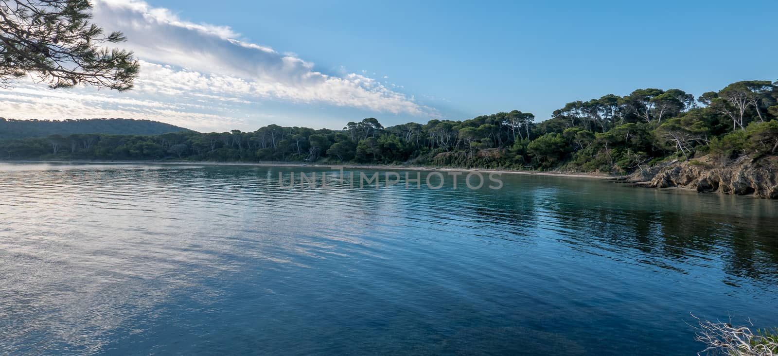 Discovery of the island of Porquerolles in summer. Deserted beaches and pine trees in this landscape of the French Riviera, Var.