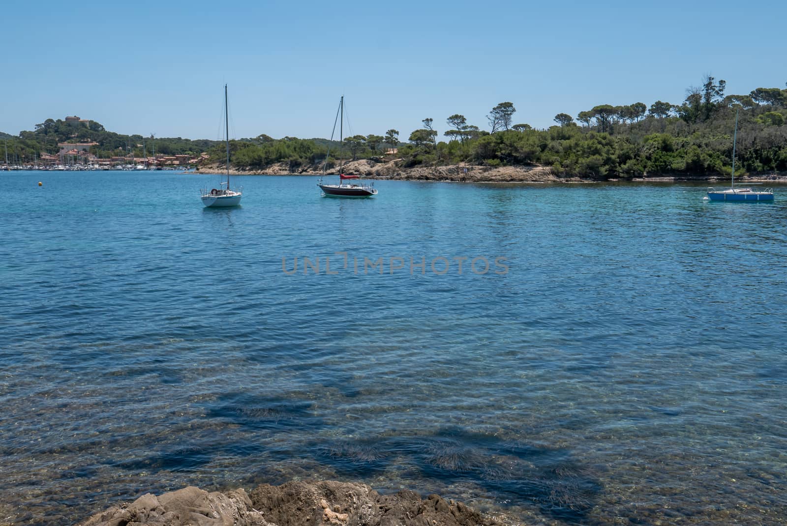 Discovery of the island of Porquerolles in summer. Deserted beaches and pine trees in this landscape of the French Riviera, Var.