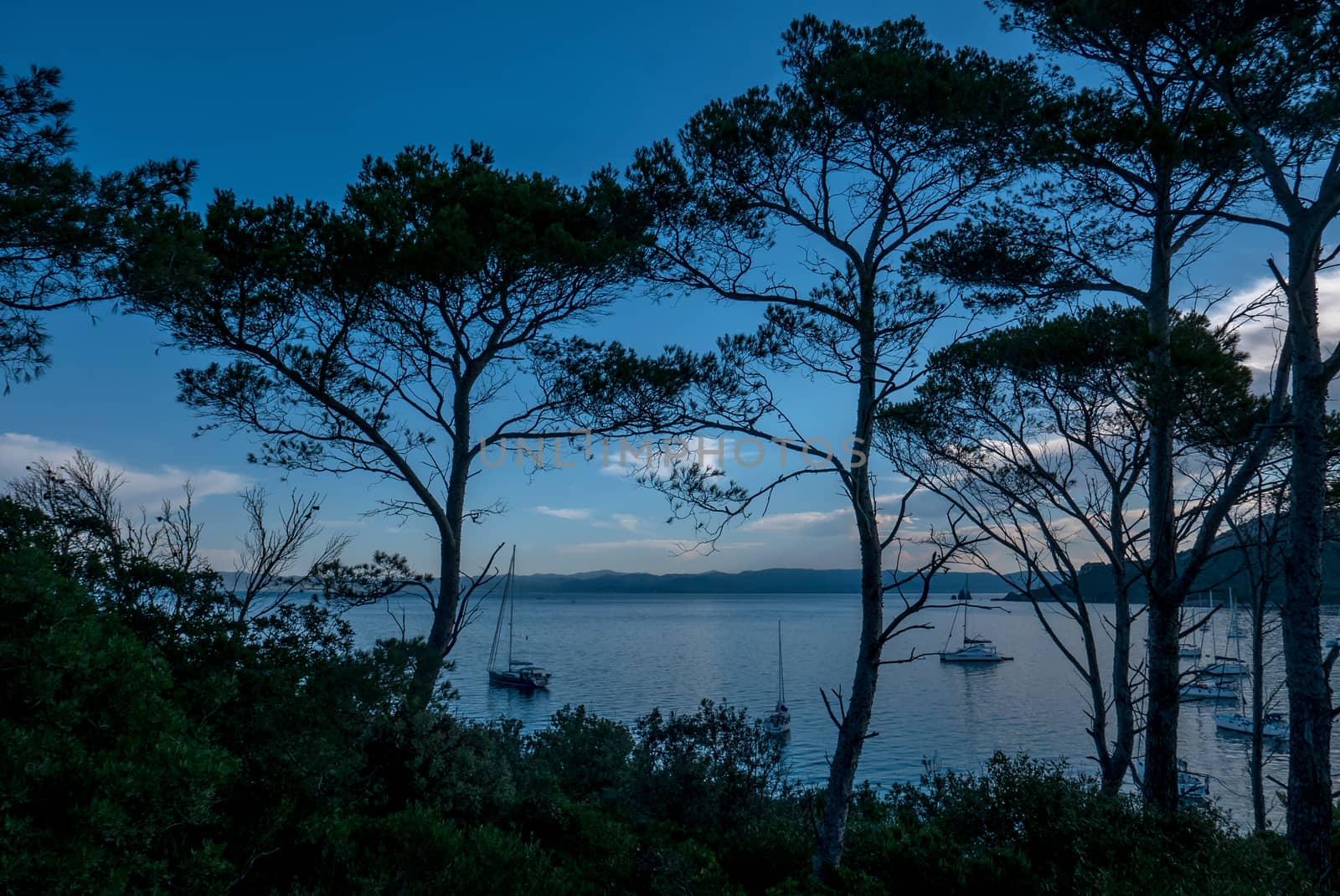 Discovery of the island of Porquerolles in summer. Deserted beaches and pine trees in this landscape of the French Riviera, Var.