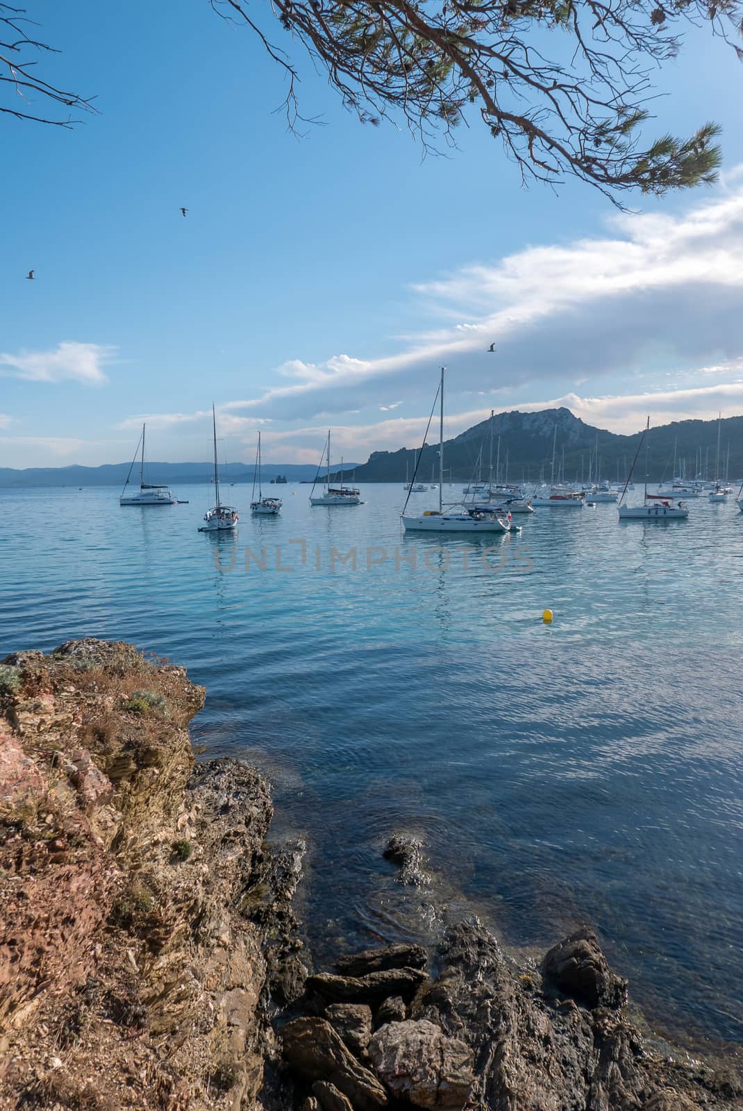 Discovery of the island of Porquerolles in summer. Deserted beaches and pine trees in this landscape of the French Riviera, Var.