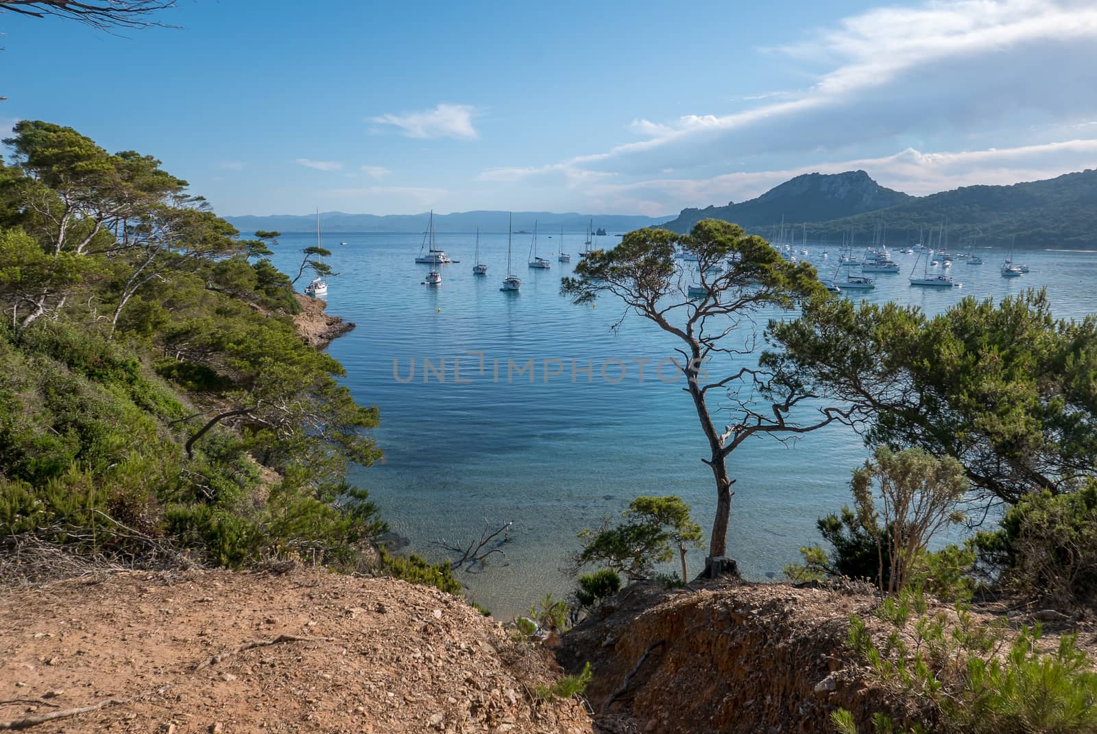 Discovery of the island of Porquerolles in summer. Deserted beaches and pine trees in this landscape of the French Riviera, Var.