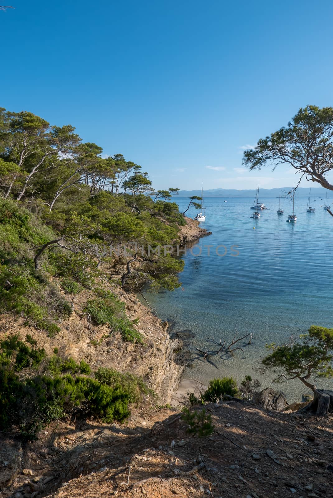 Discovery of the island of Porquerolles in summer. Deserted beaches and pine trees in this landscape of the French Riviera, Var.