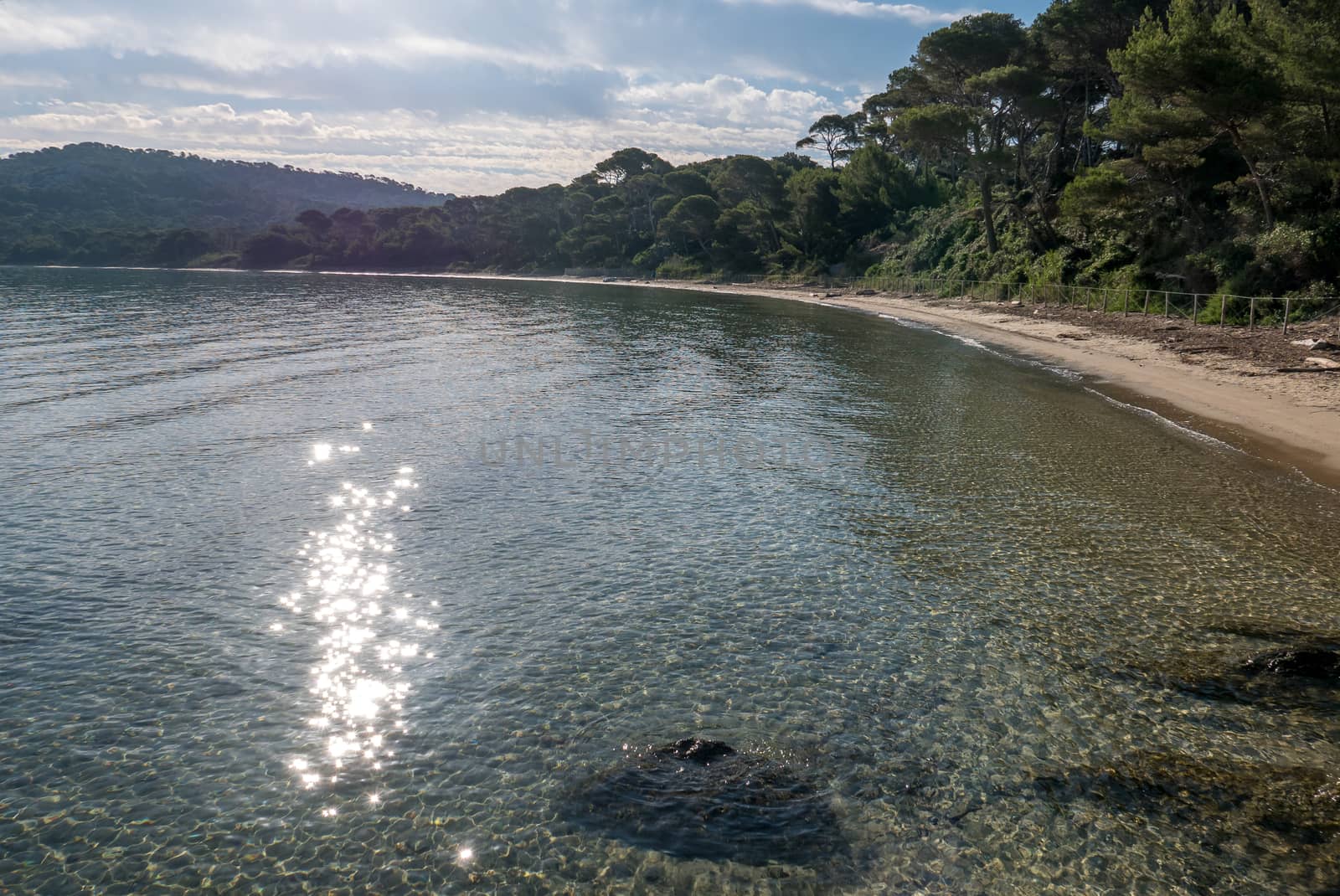 Discovery of the island of Porquerolles in summer. Deserted beaches and pine trees in this landscape of the French Riviera, Var.