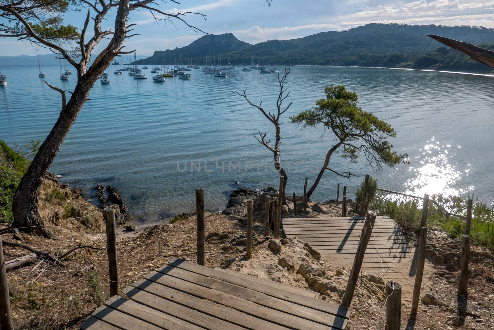 Discovery of the island of Porquerolles in summer. Deserted beaches and pine trees in this landscape of the French Riviera, Var.