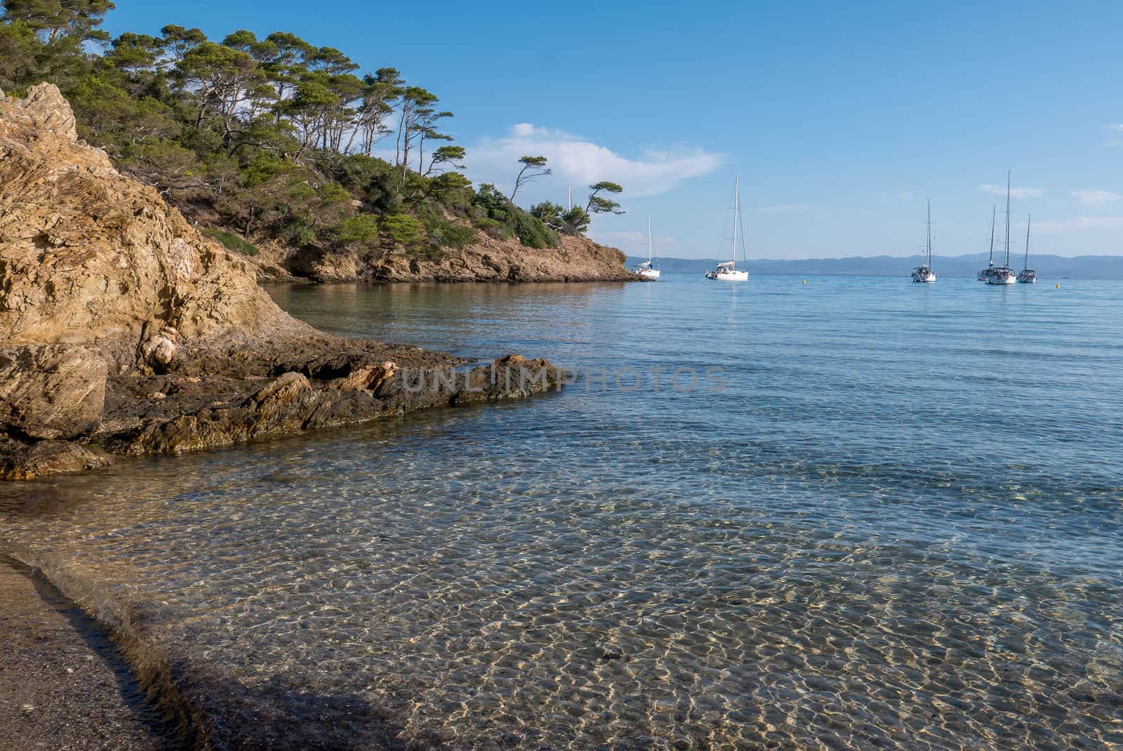 Discovery of the island of Porquerolles in summer. Deserted beaches and pine trees in this landscape of the French Riviera, Var.