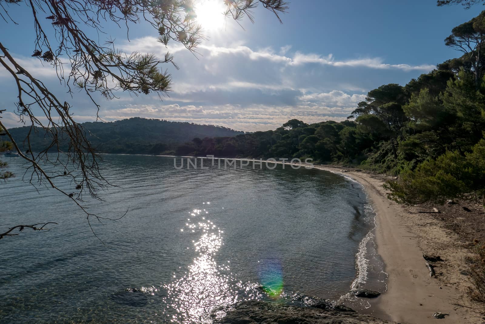Discovery of the island of Porquerolles in summer. Deserted beaches and pine trees in this landscape of the French Riviera, Var.