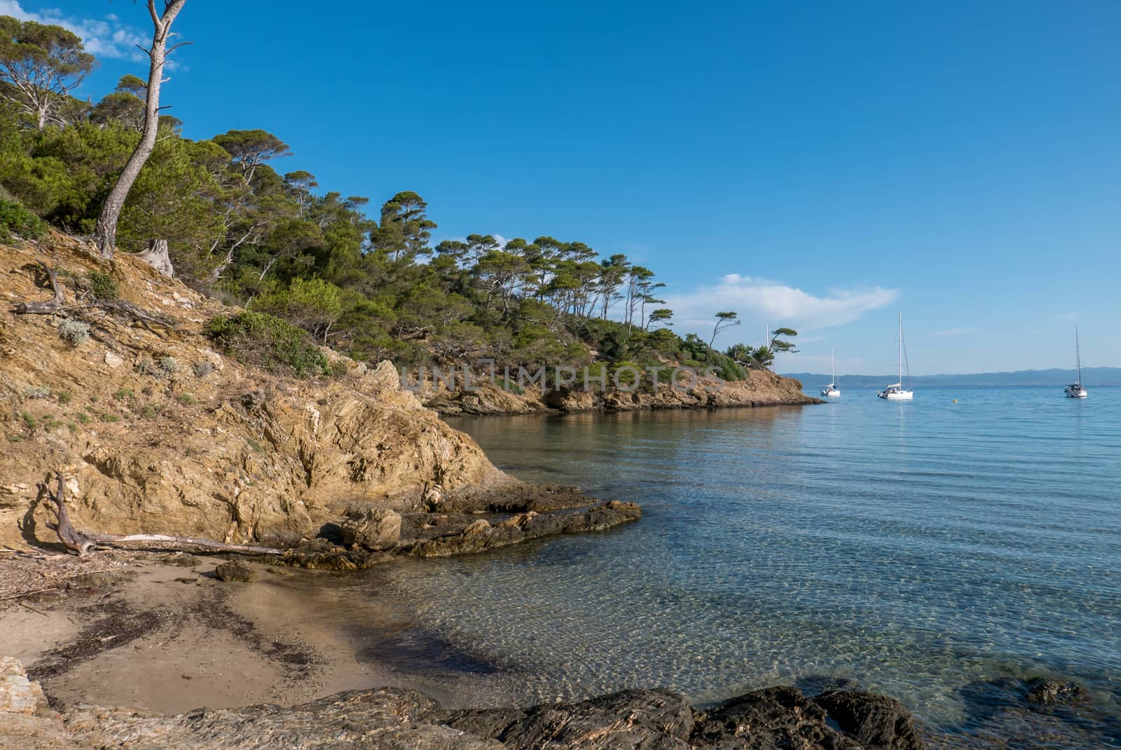 Discovery of the island of Porquerolles in summer. Deserted beaches and pine trees in this landscape of the French Riviera, Var.