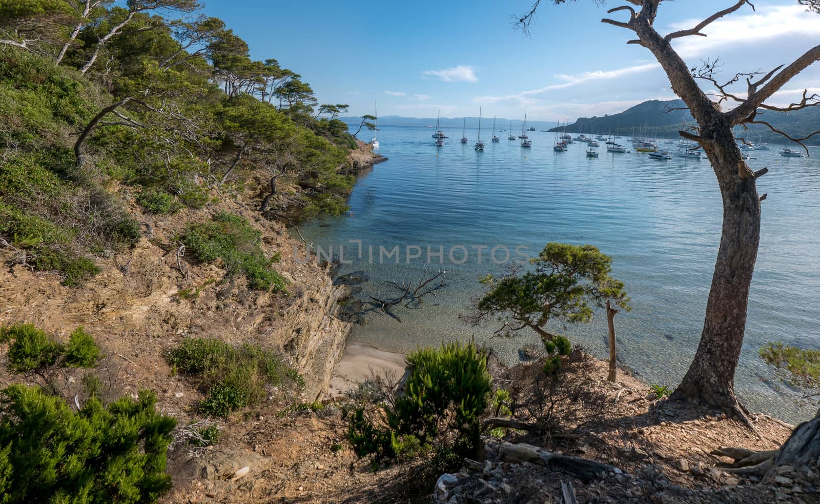 Discovery of the island of Porquerolles in summer. Deserted beaches and pine trees in this landscape of the French Riviera, Var.