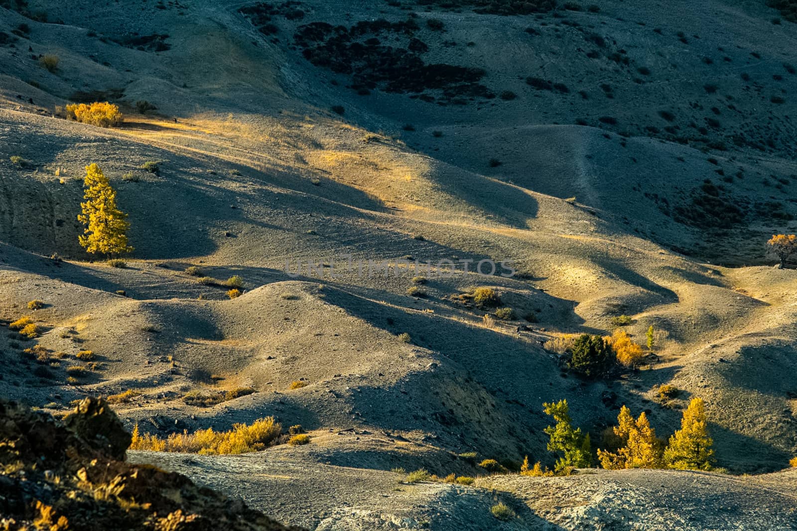 The altai mountains. landscape of nature on the Altai mountains and in the gorges between the mountains. by DePo