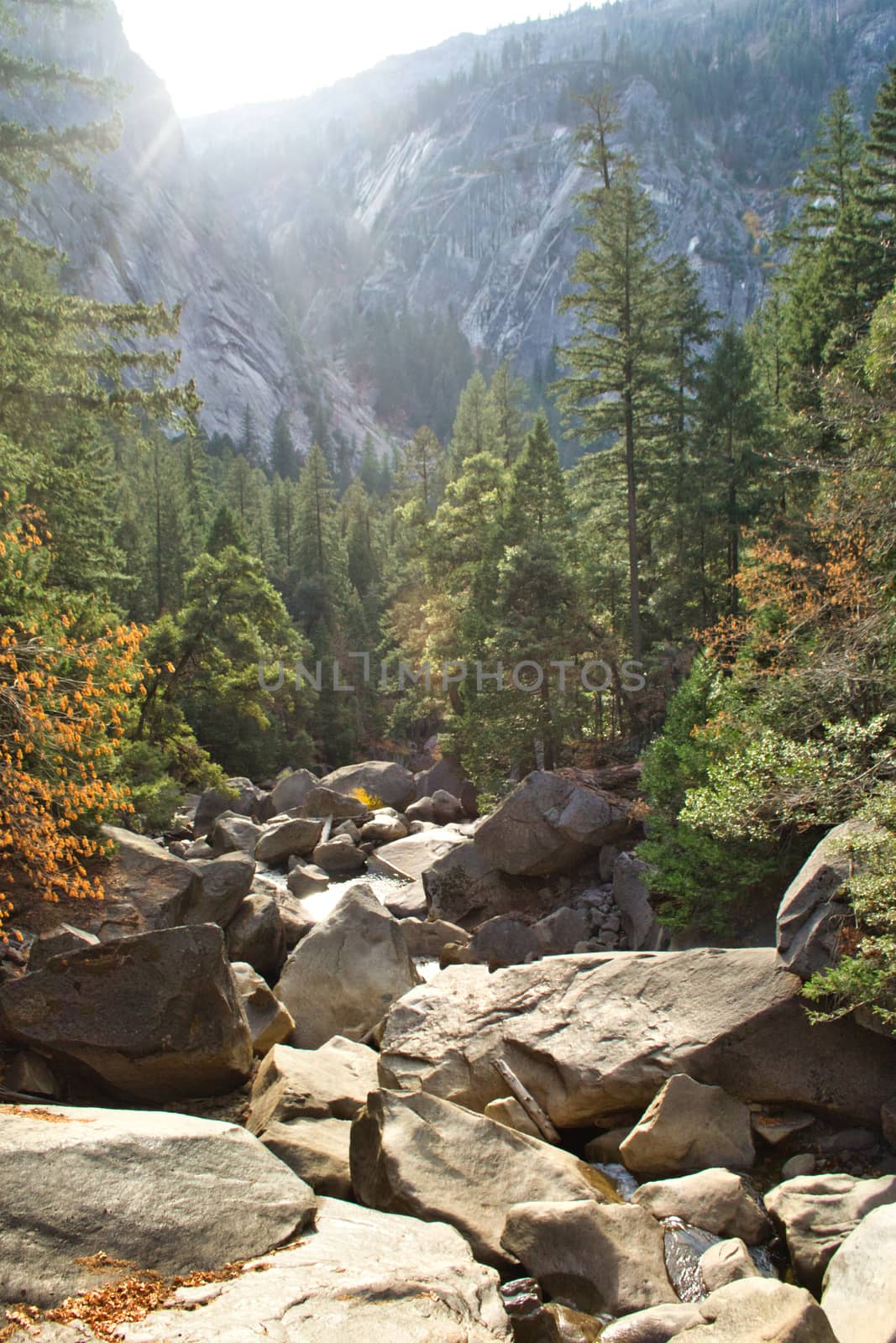 Autumn at Yosemite Vallley national park in California, USA. Travel and tourism