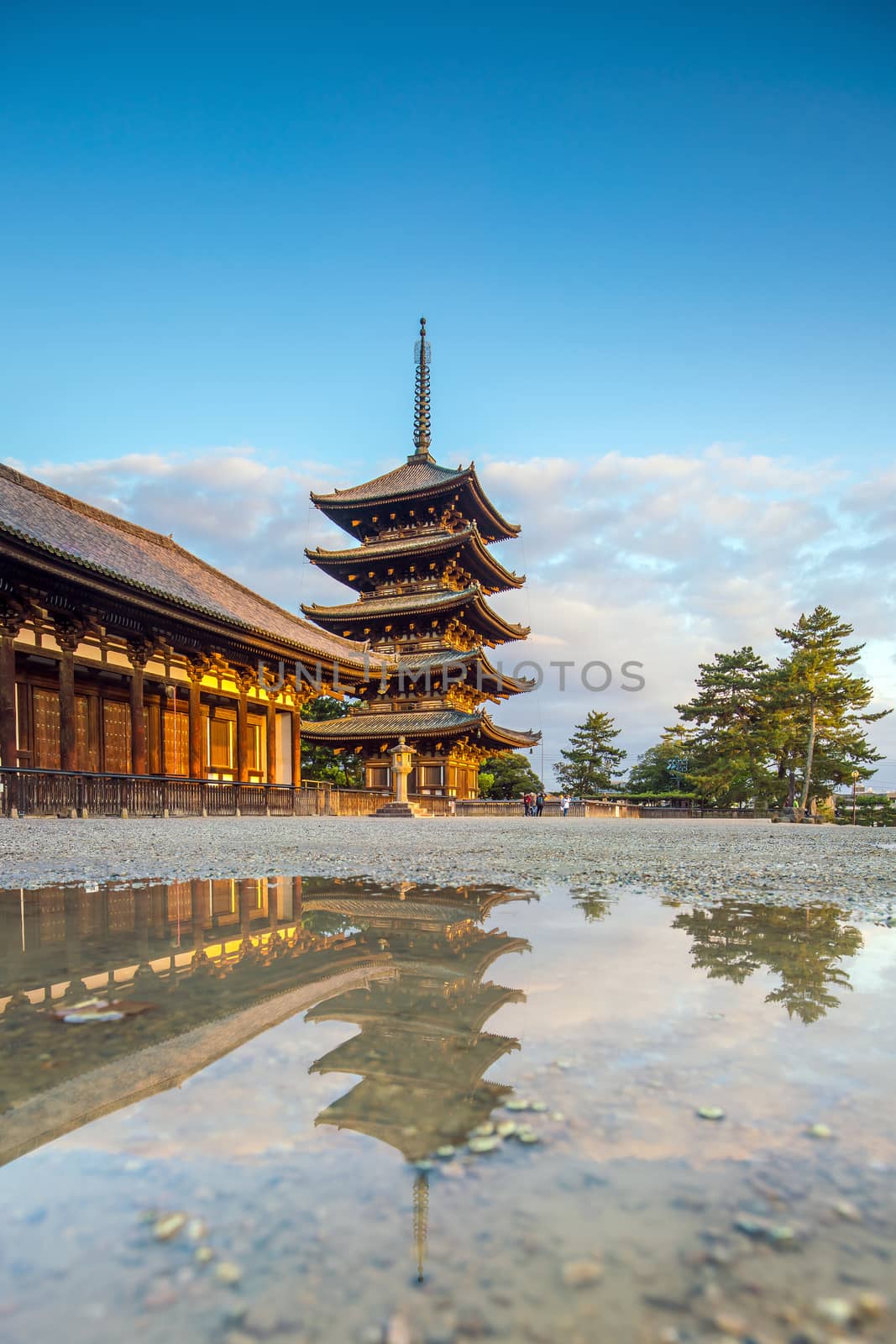 Five story pagoda Kofukuji temple at Nara , Japan by f11photo