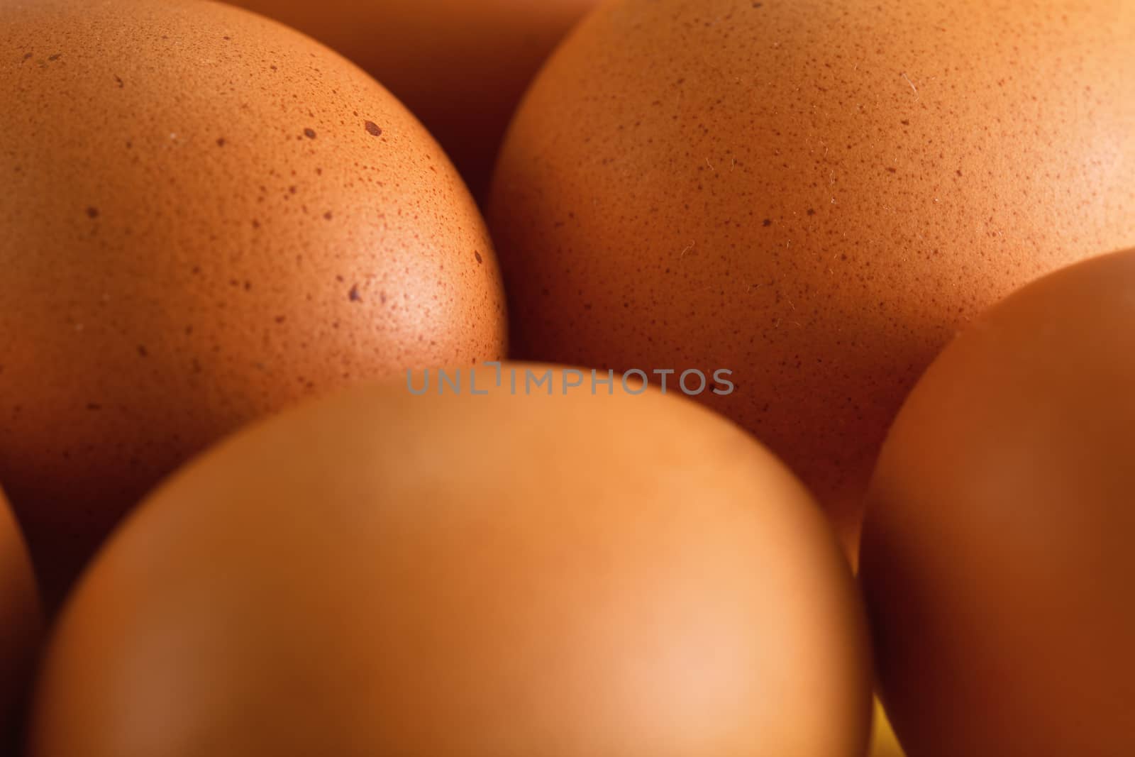 Beige coloured eggs shell with spots closeup detail by Ivanko