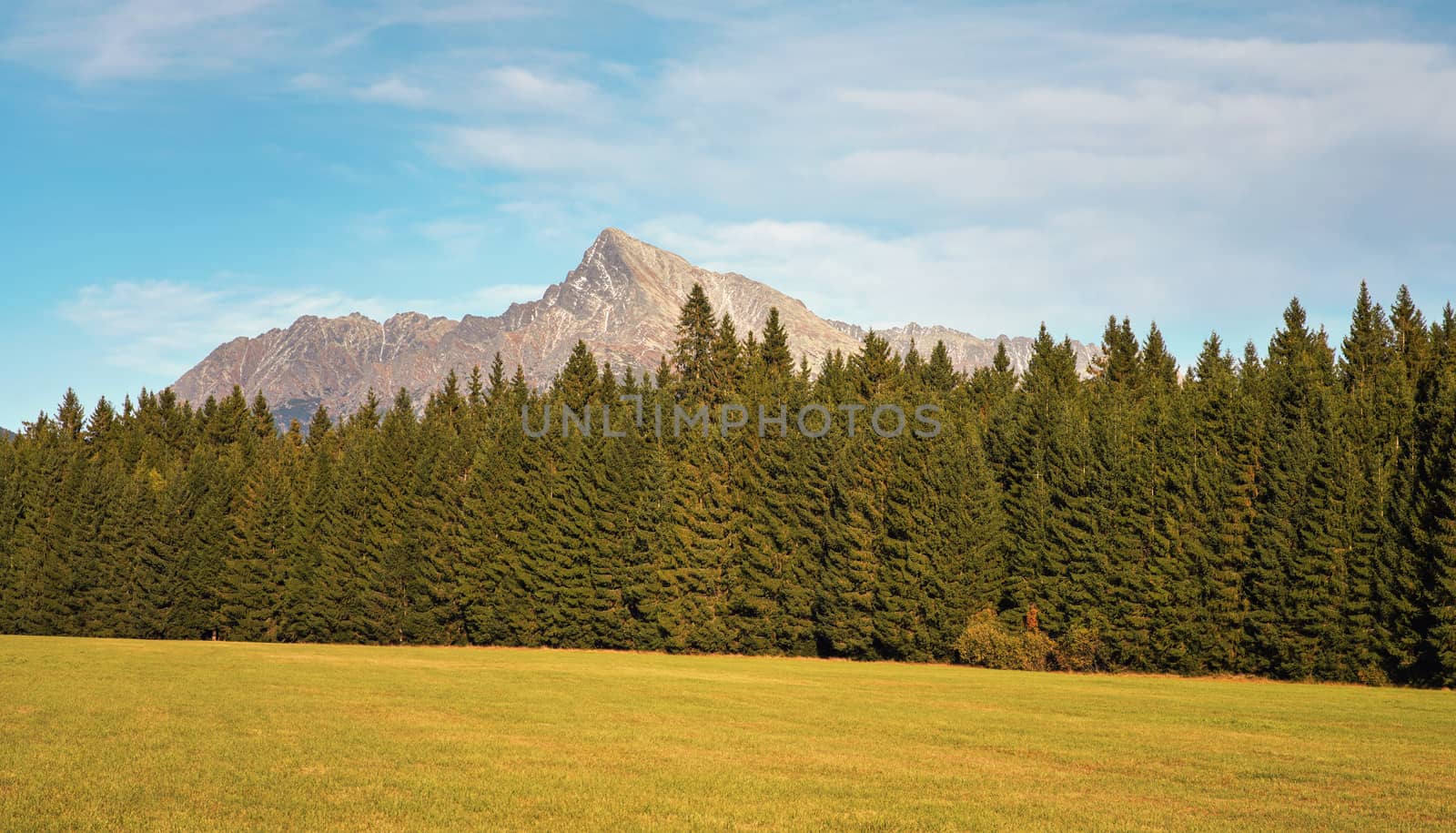 Mount Krivan peak Slovak symbol wide panorama with autumn meadow in foreground, Typical autumnal scenery of Liptov region, Slovakia.