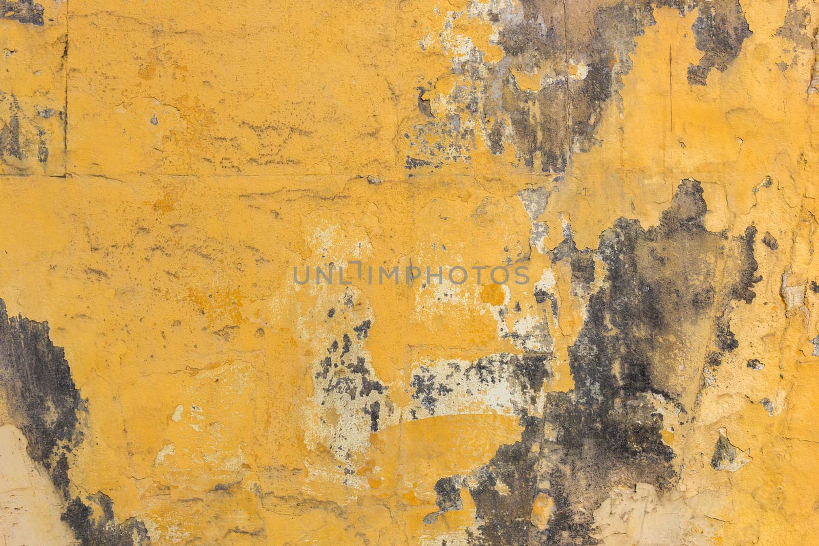 Yellow plsater wall with black mold background