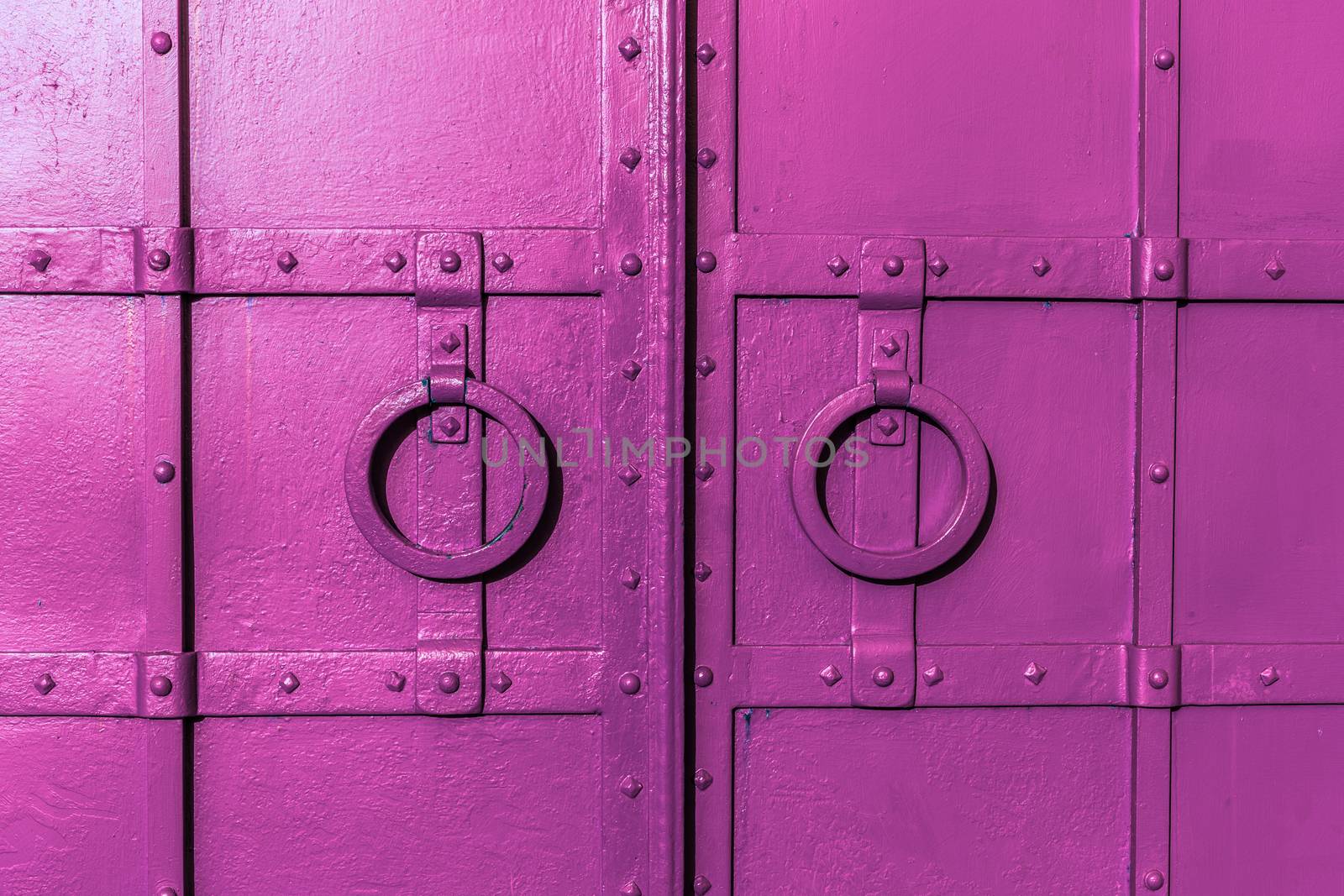 fresh painted old riveted iron double door with two rings