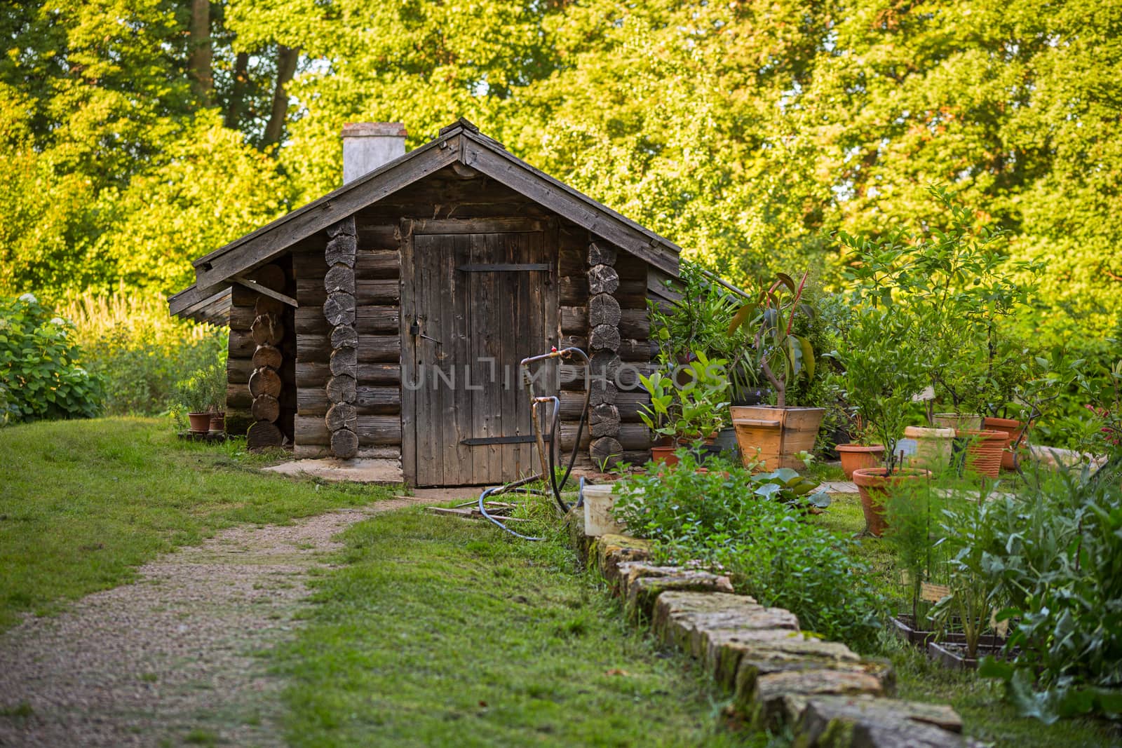 blurry garden background with old black wooden barn