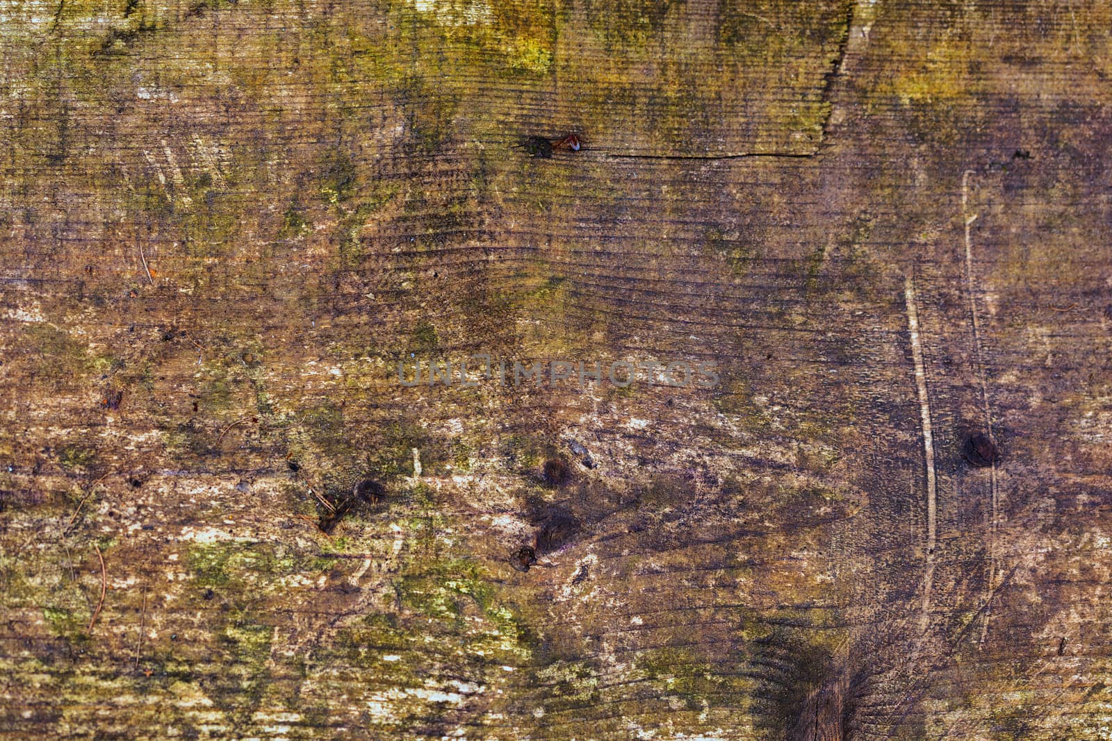 old dirty wood board with moss horizontal background