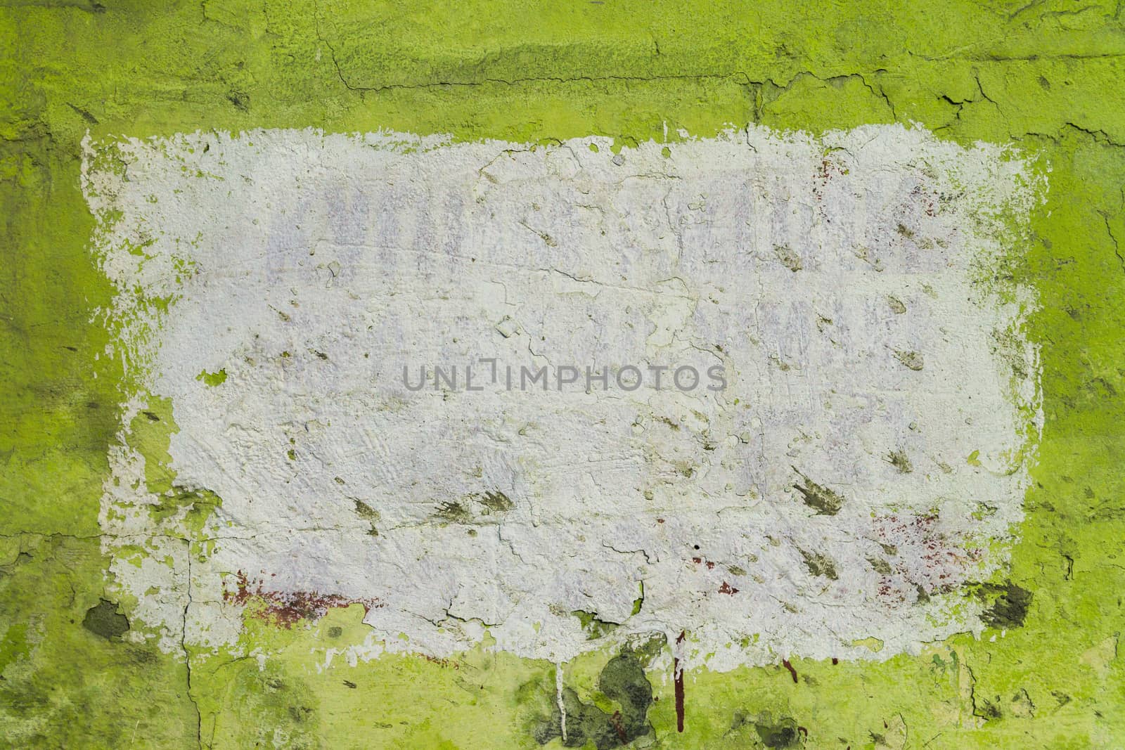 Green plsater wall with black mold background and white rectangular on it.