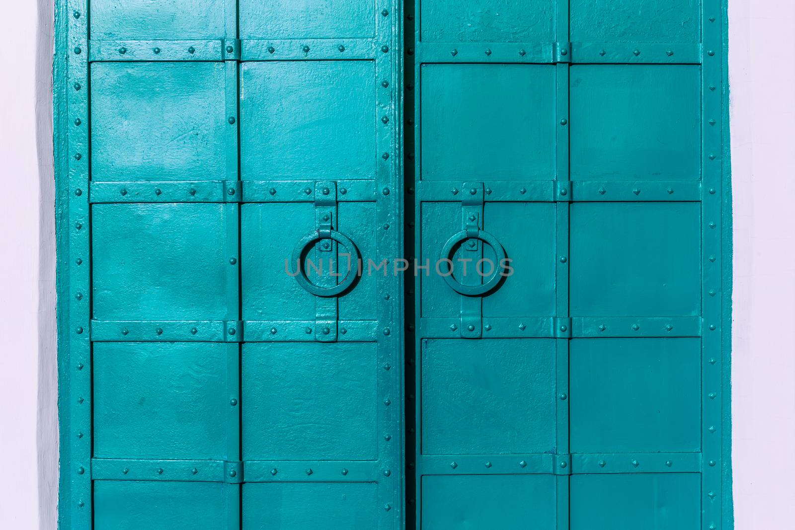 fresh painted old riveted iron double door with two rings