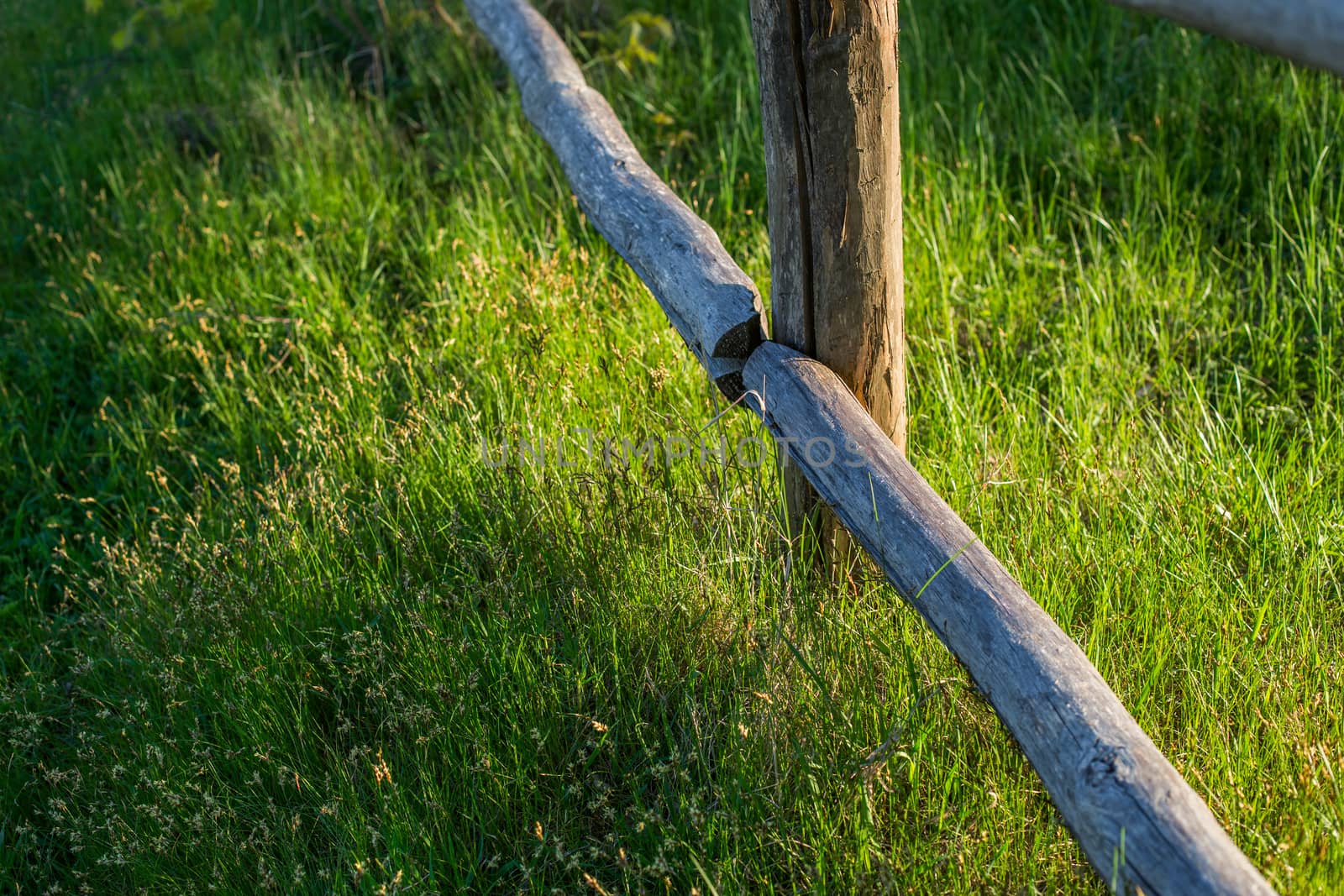 fragment of rustic log fence and fresh grass selective focus background