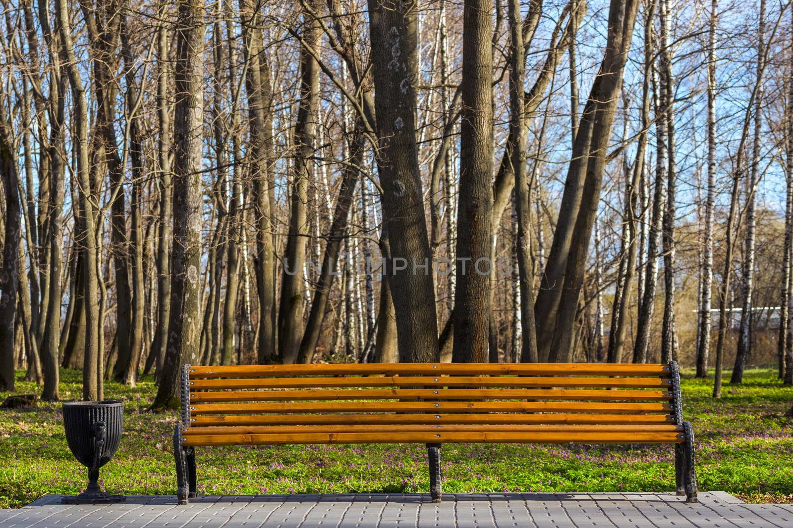 empty bench in spring park front view with black trash pot on left side
