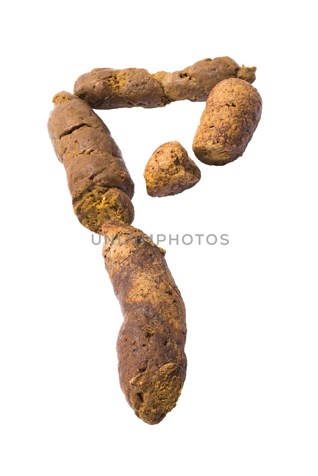 Cat poop isolated on white background in form of letter P