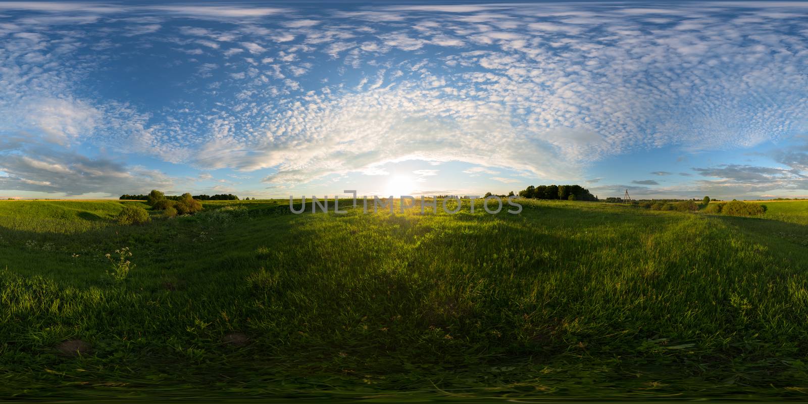Sunset on meadow full spherical panorama. 360 by 180 degree angle of view in equirectangular projection. May be used in virtual reality or 3D-graphics content as photorealistic background.