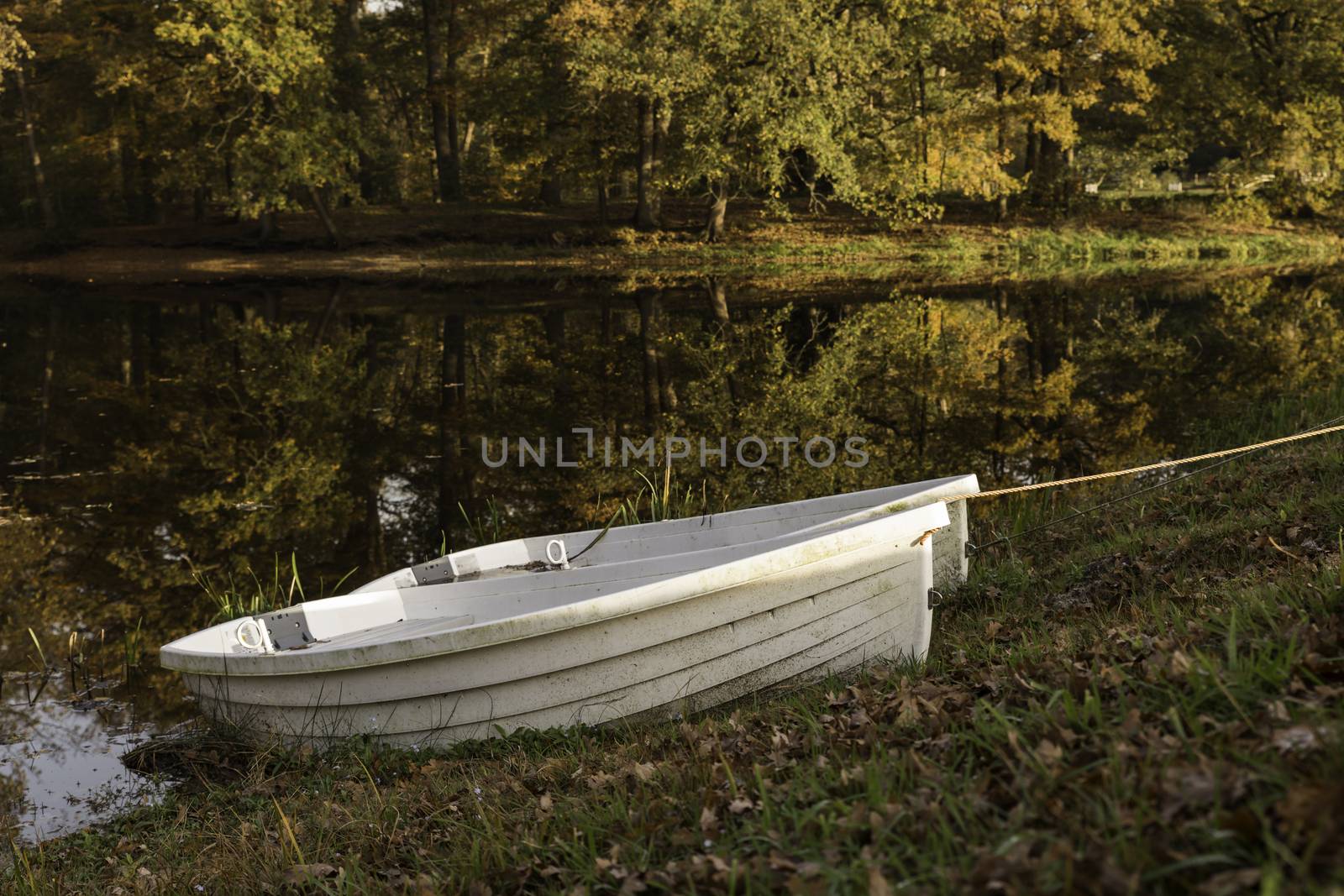 two boats in a pond in the autum forest with red brown and golden colors in national park de veluwe in holland