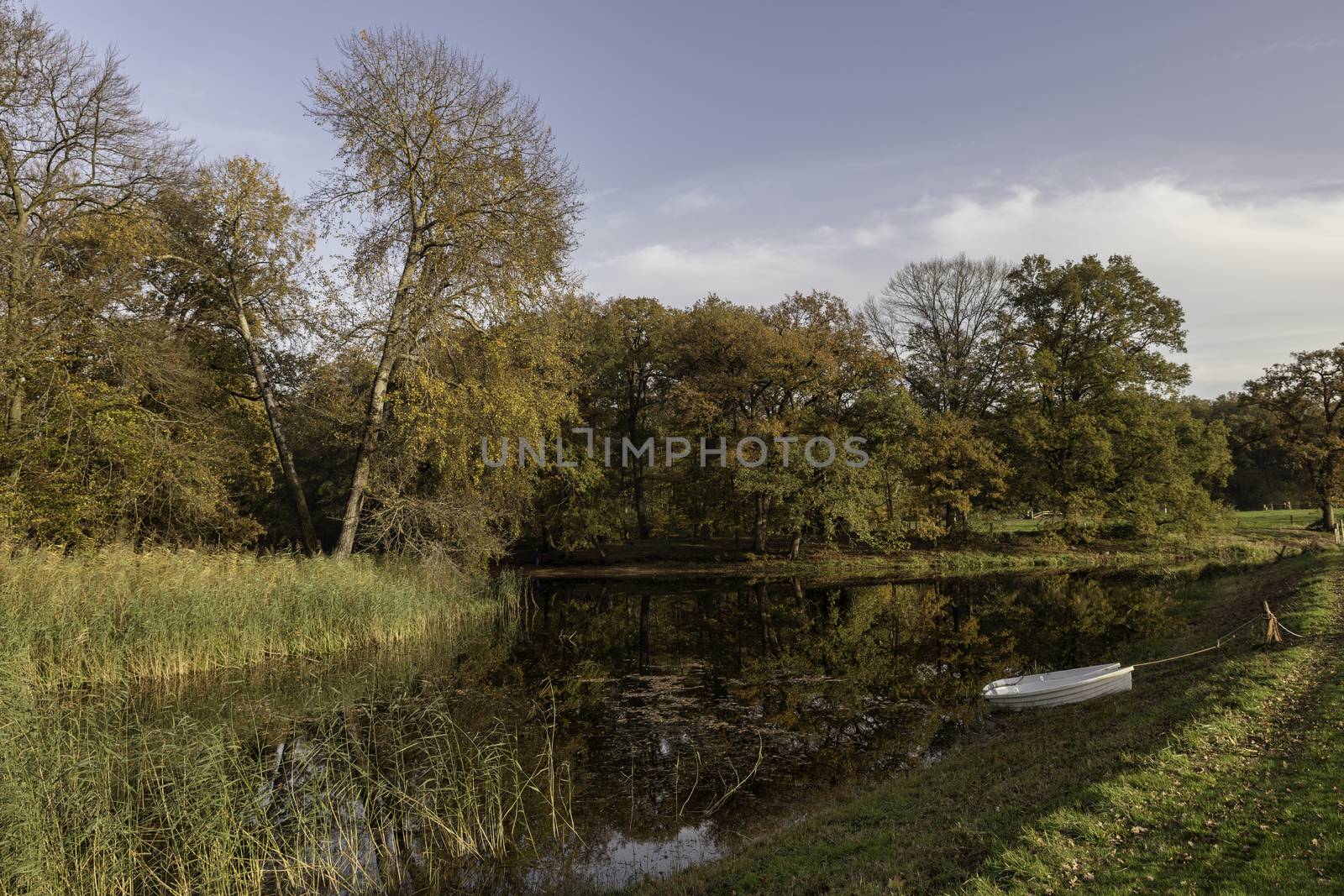 two boats in a pond in the autum forest with red brown and golden colors in national park de veluwe in holland