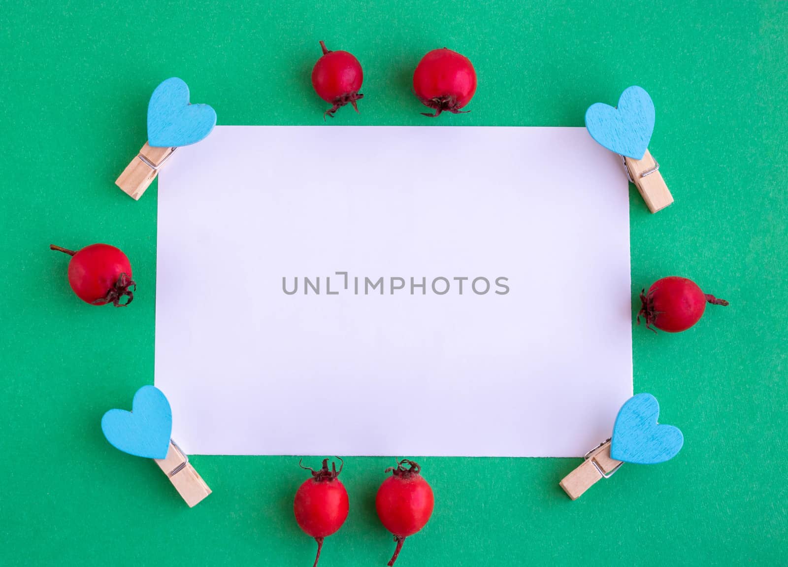 A white sheet of paper on a green background with red berries and clothespins with blue hearts. Holiday concept Valentine's Day, Mother's Day, Father's Day, New year. Space for your text. by lapushka62