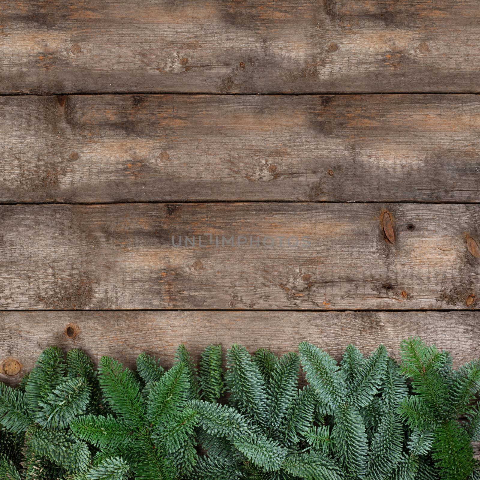 Spruce twigs on a wooden background by destillat