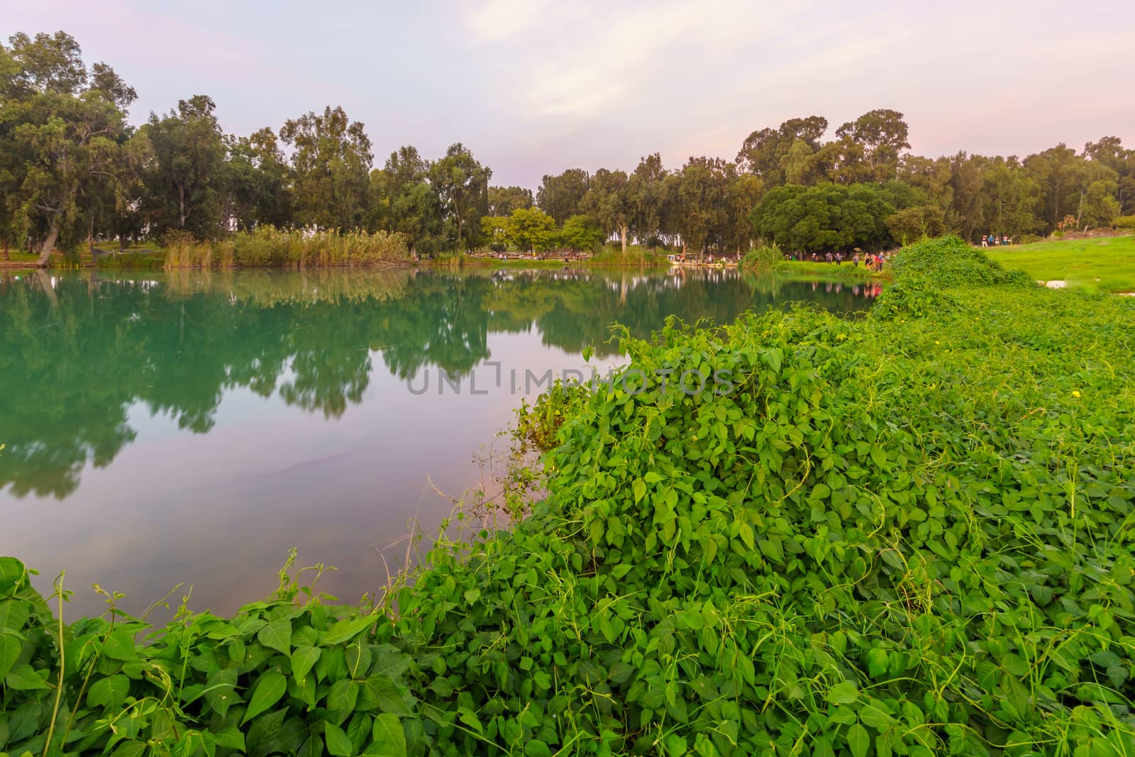 Sunset view of the lake, in Yarkon (Tel Afek) National Park, central Israel